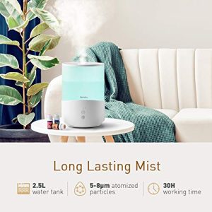 رطوبت ساز 2.5 لیتری Homasy Cool Mist مدل HM510A