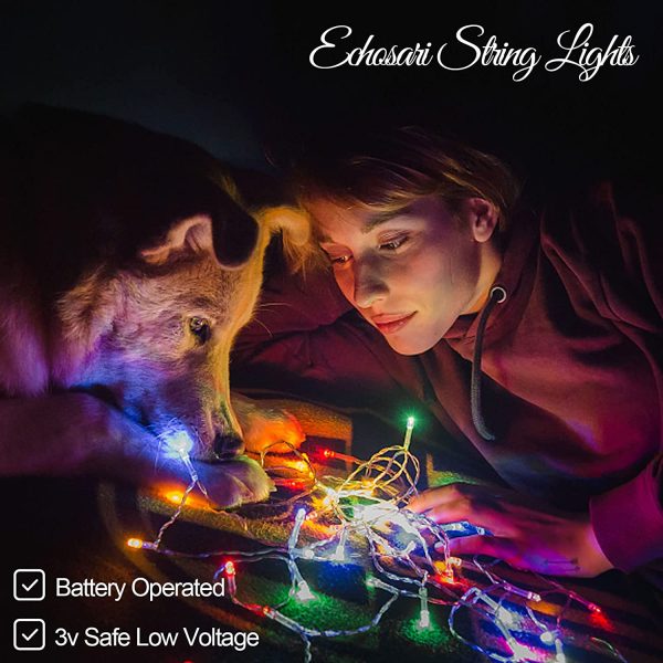چراغ های رشته ای Echosari 100 LED Outdoor LED Fairy String Lights باتری با کنترل از راه دور (تقریبا، تایمر، 8 حالت)